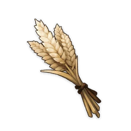Wheat