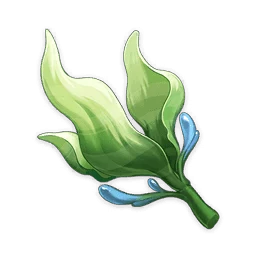 Seagrass