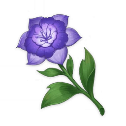 Sumeru Rose