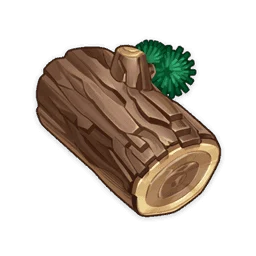 Pine Wood