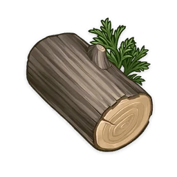 Cypress Wood