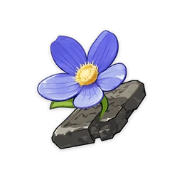 Tiny Miracle