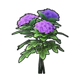 Purple Jade