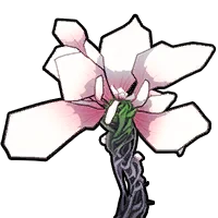 Serenetti