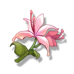 Pecok Flower