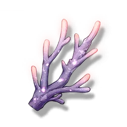Violet Coral
