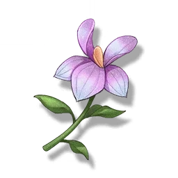 Bunnywort