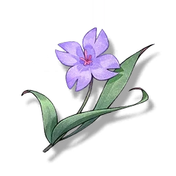 Viola