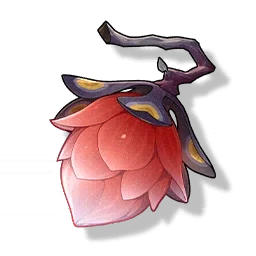 Pavo Plum